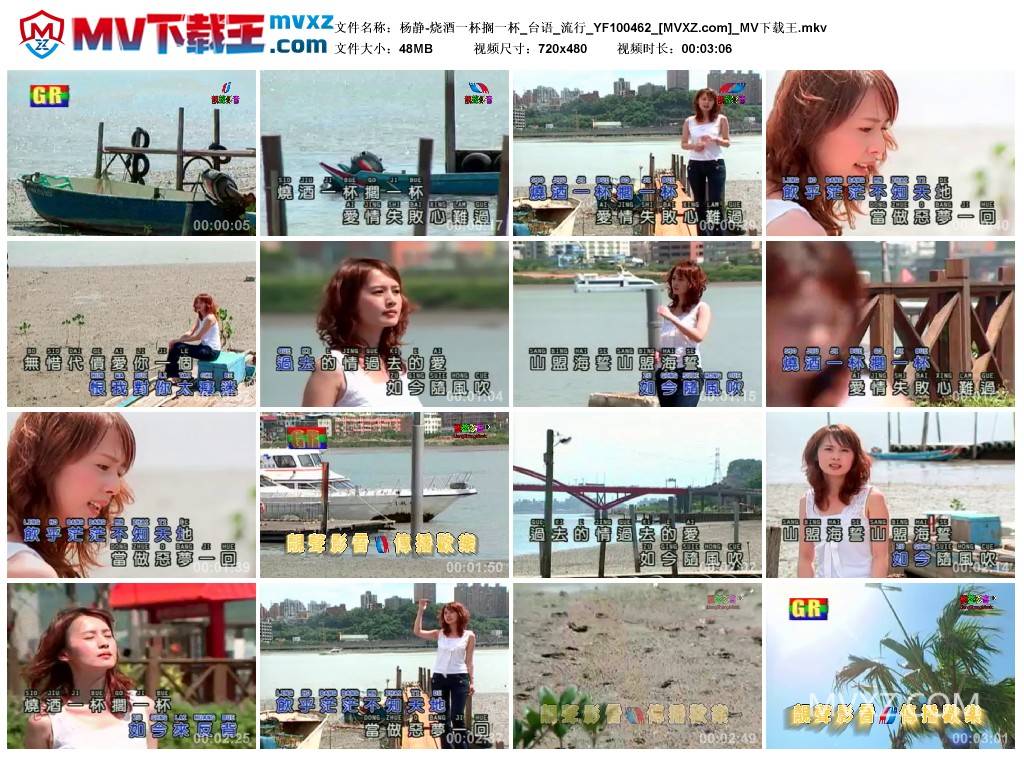 杨静-烧酒一杯搁一杯_台语_流行_YF100462